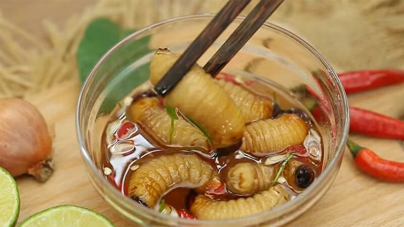 The Dancing Coconut Worms