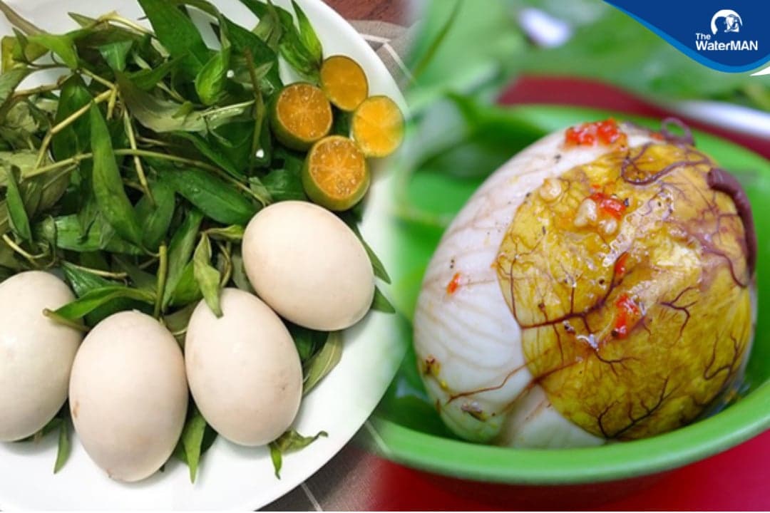 Fetal Duck Egg